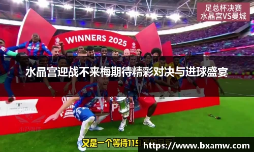 水晶宫迎战不来梅期待精彩对决与进球盛宴